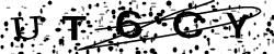 Enter this code in the box